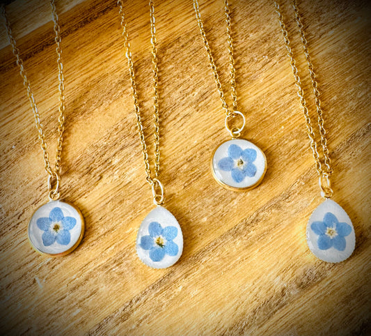 Forget me not